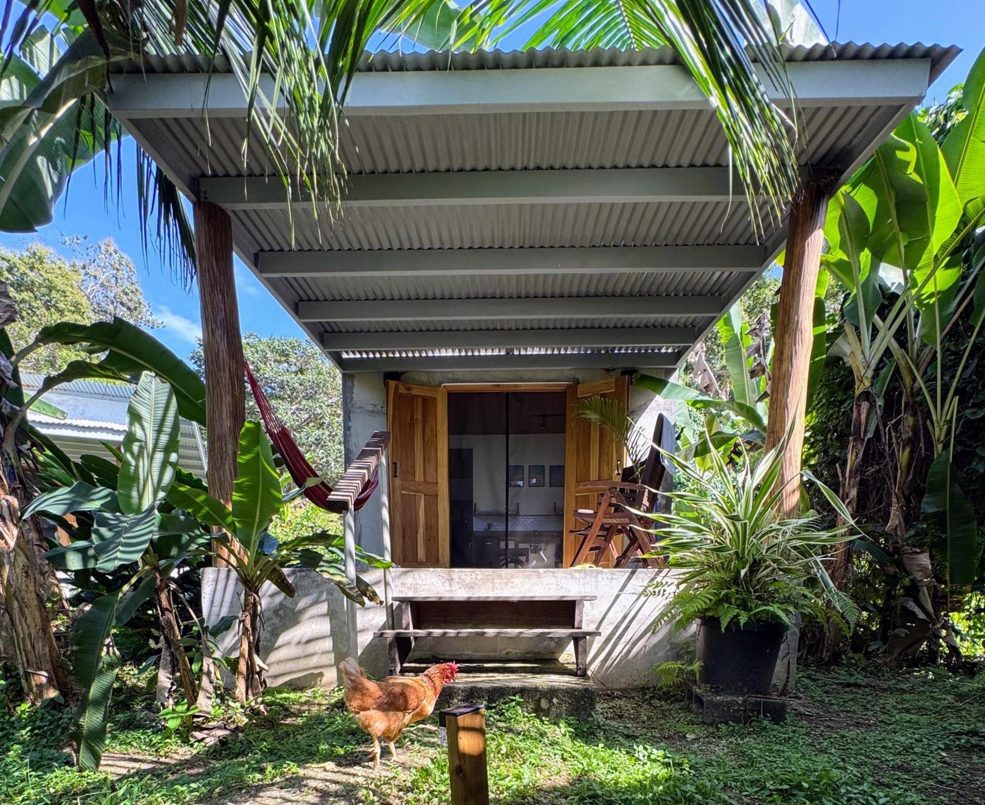 Casa Salvaje Vacation Rentals Bocas del Toro Exterior foto