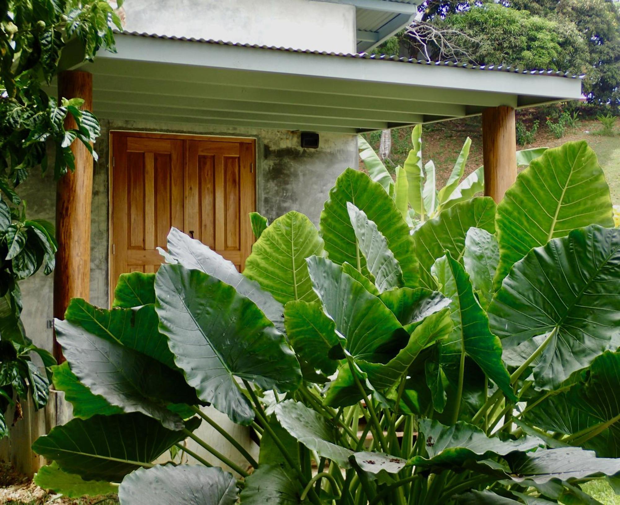 Casa Salvaje Vacation Rentals Bocas del Toro Exterior foto